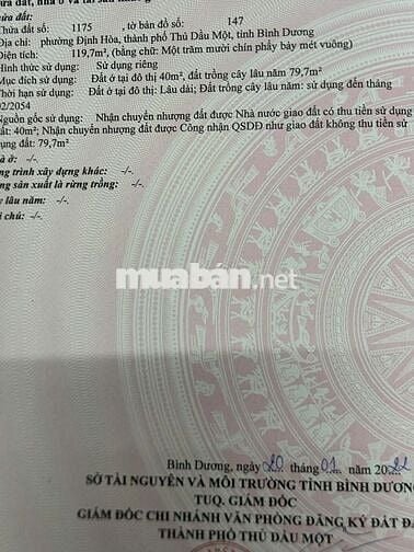 Chính chủ bán đất thành phố Hồ Chí Minh (Thủ Dầu Một)