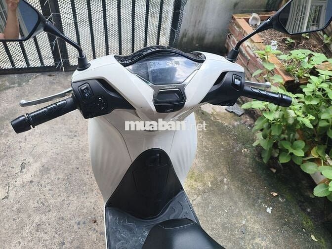 Honda SH125i 2024 Trắng 25k km