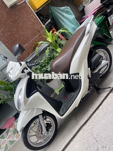 Honda Vision 2023 Trắng