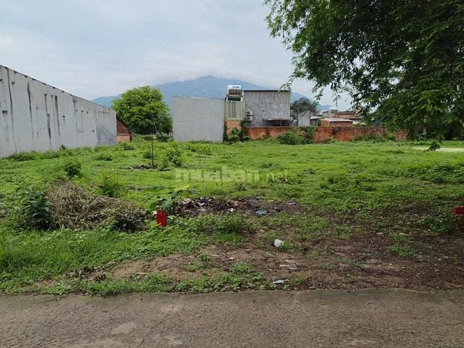  MỞ BÁN 8 LÔ ĐẤT XUÂN HIỆP | 174m² THỔ CƯ | SAU GIÁO XỨ SUỐI CÁT | C