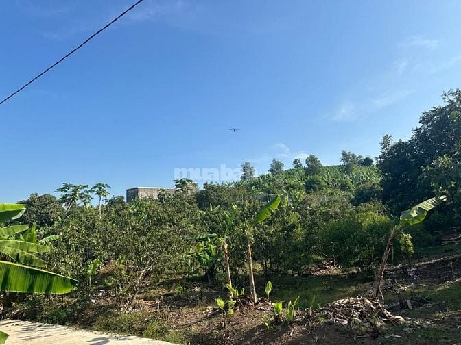 Giảm Sâu 200 Triệu Cho Lô Đất Vườn 1.081m² View Trực Diện hồ Trị An