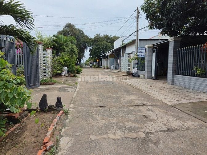  MỞ BÁN 8 LÔ ĐẤT XUÂN HIỆP | 174m² THỔ CƯ | SAU GIÁO XỨ SUỐI CÁT | C
