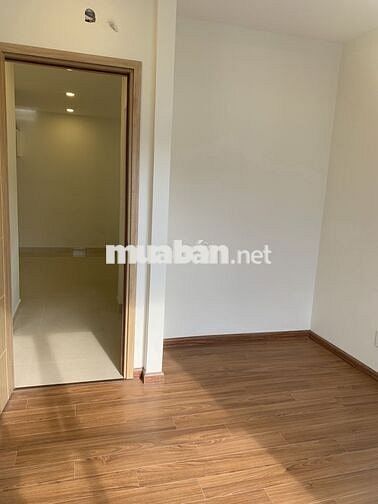 Giỏ hàng thuê Dream Home quận 8 chỉ từ 7tr/tháng