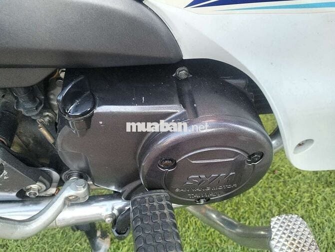 SYM Angela 50cc 2020 Xanh