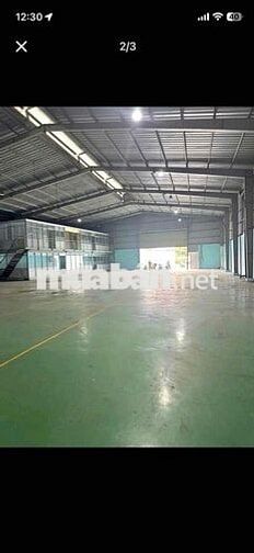 Diện tích xưởng 1000m², Thới An, Quận 12