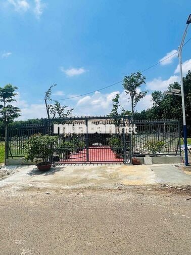 Vợ chồng em từ lúc cưới tới giờ được 5 năm có mua được miếng đất định