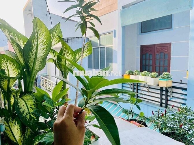 nhà hoàn công, trung tâm Ninh Kiều, thương lượng chính chủ
