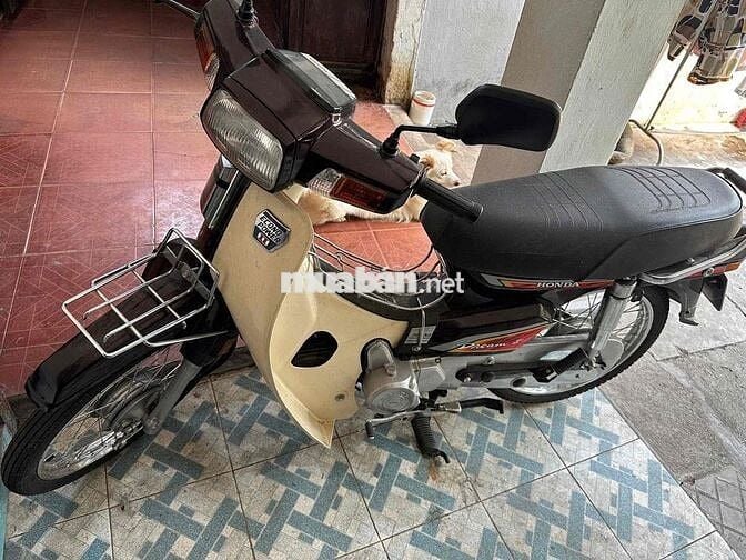 Honda Dream II Nâu kem Cổ điển