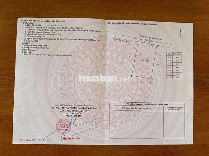 Bán Vườn Cà Phê Xã Hòa Khánh Giá Ngộp