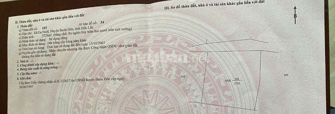 CẦN TIỀN - BÁN ĐẤT NÔNG NGHIỆP trồng cà phê, tiêu