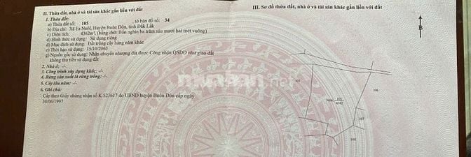 CẦN TIỀN - BÁN ĐẤT NÔNG NGHIỆP trồng cà phê, tiêu
