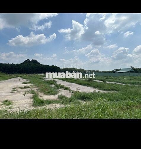  Chủ cần tiền xoay vốn, bán nhanh lô đất mặt tiền Cao Bá Quát. 