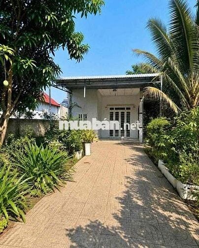 Diện tích 1000m2 có 100m2 thổ cư giá 180tr bao sang tên công chứng
