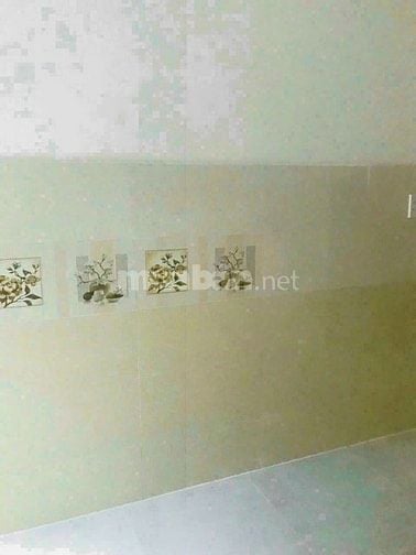Chính chủ cho thuê nhà nguyên căn mới xây Tân Chánh Hiệp 4, Quận 12