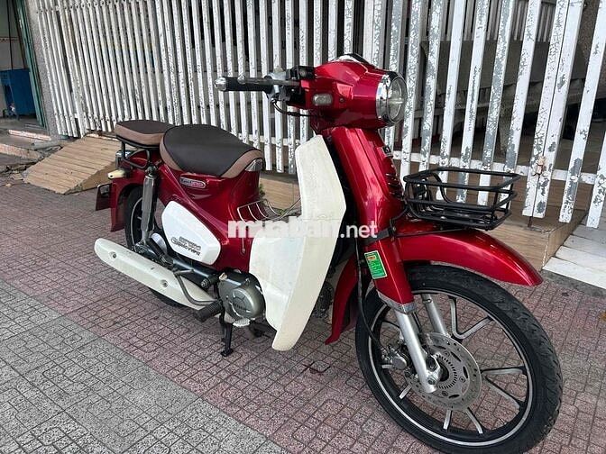 Detech Cup 50 Classic VipII Đỏ Trắng Smartkey