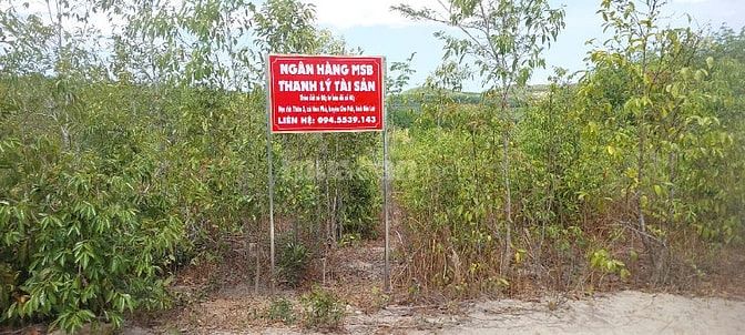 Công ty đấu giá hợp danh Sao Việt 