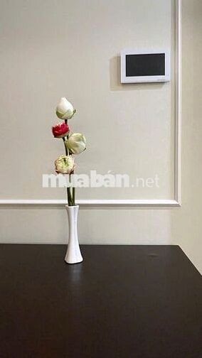 HOT !! Cho thuê Studio full NT đẹp xịn xò giá 6tr5/tháng