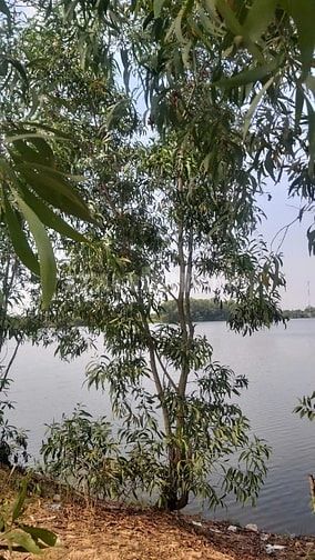 Sở hữu mặt hồ _sát bên khu dân cư 