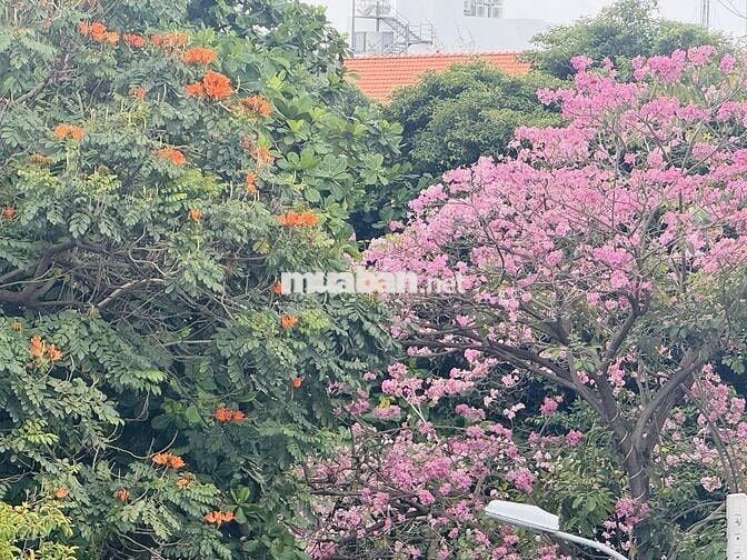 Ban công thoáng mát khu Đh Hutech GTVT Hồng Bàng