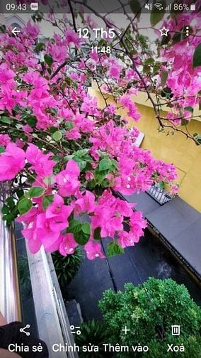 NHÀ BÁN GÒ VẤP VỊ TRÍ TUYỆT ĐEP