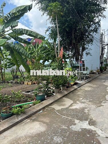 Bán 3 lô Đất 16x20m, đường tập đoàn 4, TT Cần Giuộc, Long An