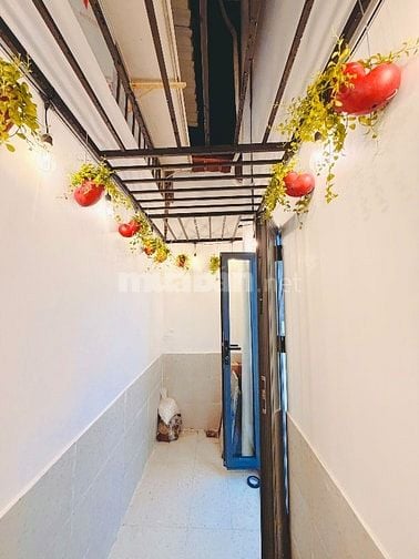 💥Lên Sóng nhà Cô Giang Khu Phan Xích Long💥 DT 3.1mx12m nở hậu 3.6M