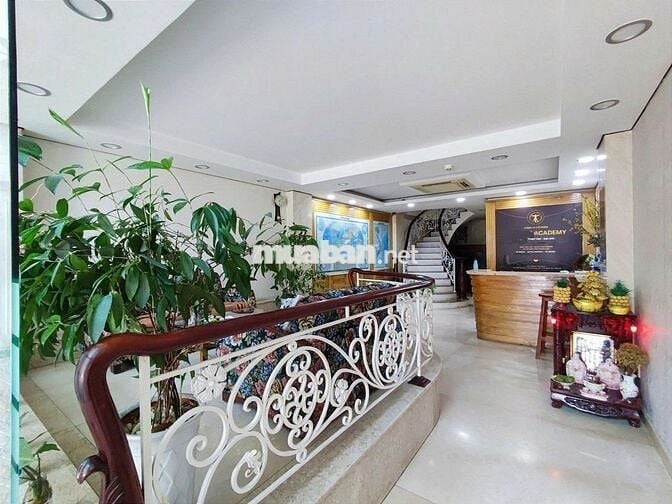 🏢Calmette Quận 1 - Hầm 4 Lầu, DTSD 540m², Khai Thác Ngay