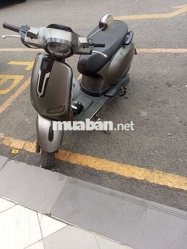 DVM 50cc xe xăng Xám 1 năm sử dụng