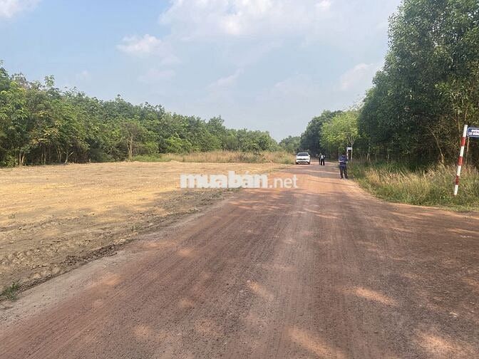 Bán gấp 196m ngay đường MPTV,cách Kcn MP3 1km giá rẽ cho anh chị cn