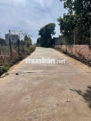 chính chủ bán mảnh đất ven Đà Lạt
