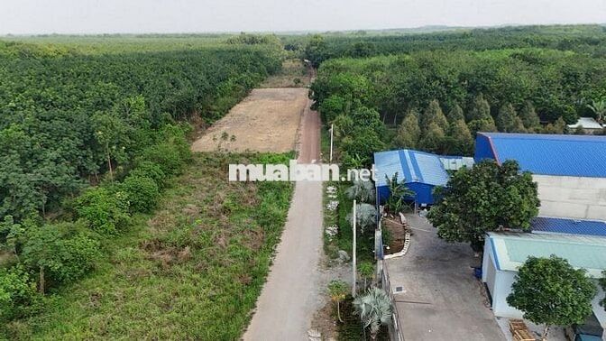 Bán gấp 196m ngay đường MPTV,cách Kcn MP3 1km giá rẽ cho anh chị cn