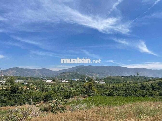 chính chủ bán mảnh đất ven Đà Lạt
