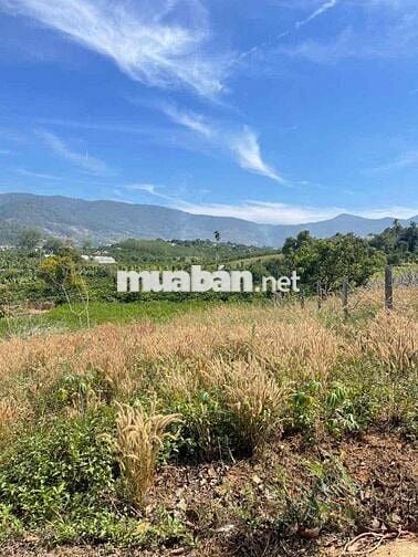 chính chủ bán mảnh đất ven Đà Lạt