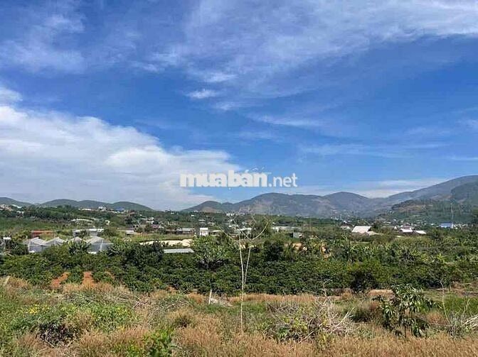chính chủ bán mảnh đất ven Đà Lạt