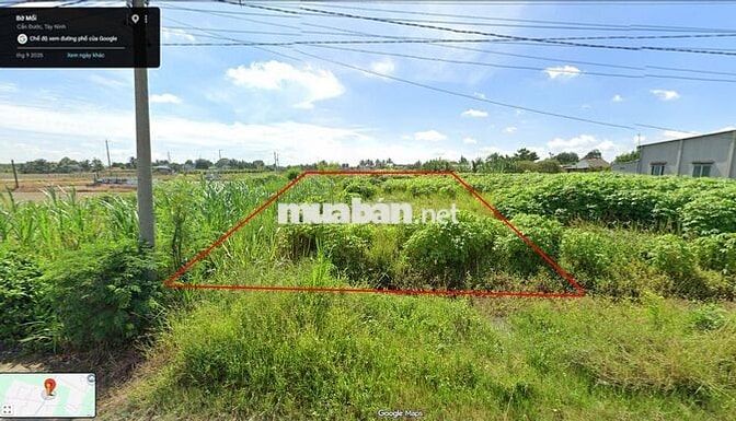 CHÍNH CHỦ BÁN ĐẤT PHƯỚC TUY - CẦN ĐƯỚC