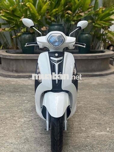 Yamaha Grande Trắng Đã sử dụng