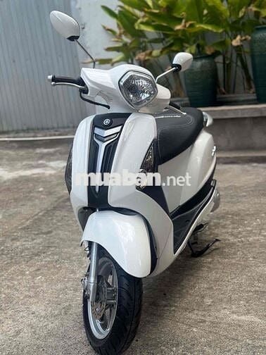 Yamaha Grande Trắng Đã sử dụng
