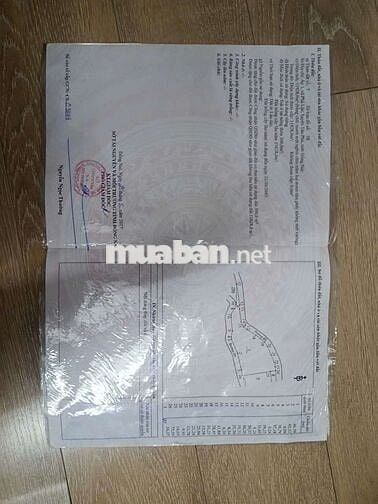 đất trồng cây lâu năm và đất ở