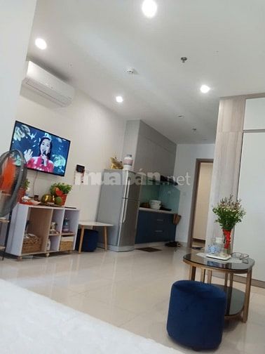  Chính chủ cho thuê căn hộ Vinhomes Grand Park 