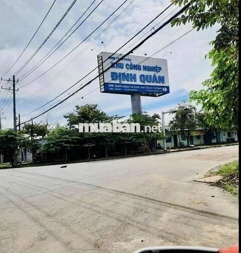 Bán đất 1387m đang trồng cao su hơn 6năm ra đường nhựa Nam Lộ chỉ 400m