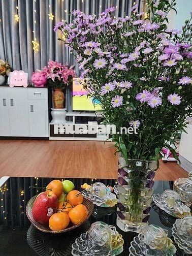 Chính chủ chuyển nhà cần bán căn chung cư Lê Lợi