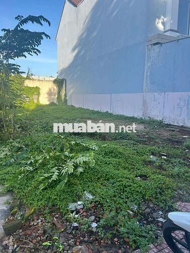 Đất mặt tiền đường Trần Đại Nghĩa