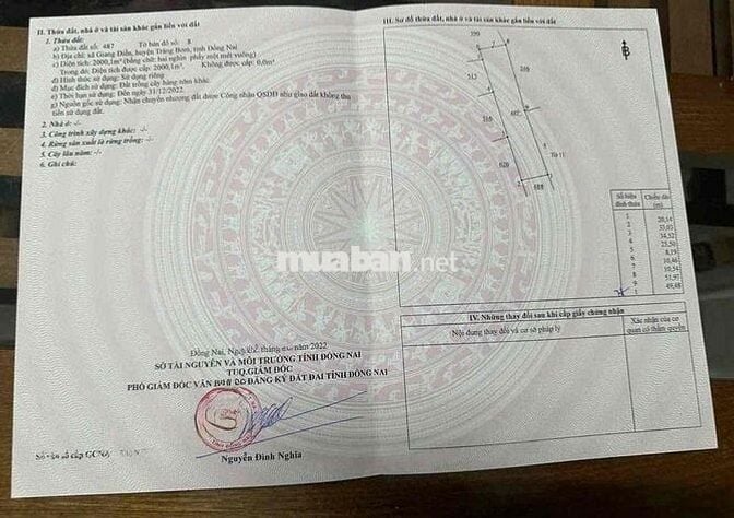 Bán Đất Đường Phước Tân - Giang Điền