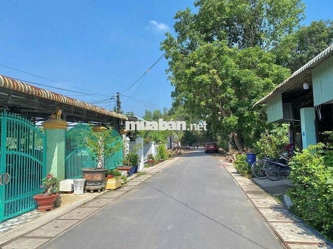 BÁN ĐẤT FULL THỔ CƯ - MẶT TIỀN NHỰA CỦ CHI