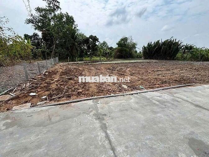 chỉ 199tr sở hữu 70m² đất thổ đường ô tô Tân Trụ