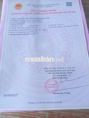 Nhà cấp 4 353m2 khu dân cư đông đúc 