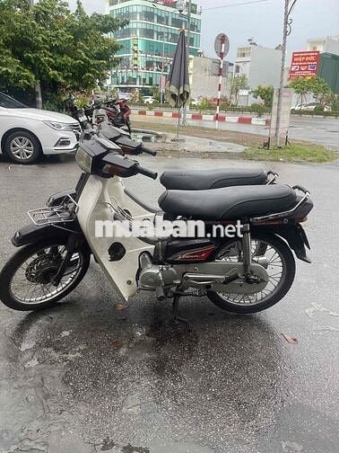 Honda Dream Nâu, Trắng