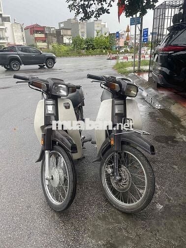 Honda Dream Nâu, Trắng