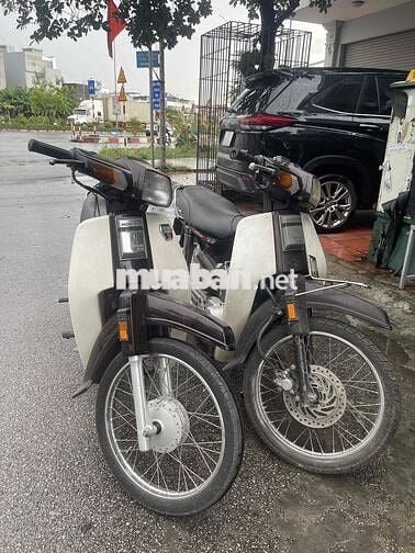 Honda Dream Nâu, Trắng