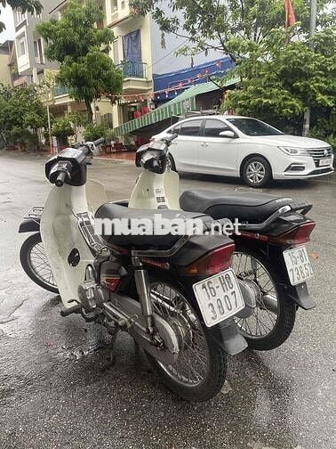 Honda Dream Nâu, Trắng